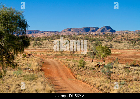 Outback landscape with red road meandering across plains to East MacDonnell Ranges and blue sky on horizon near Alice Springs NT Stock Photo