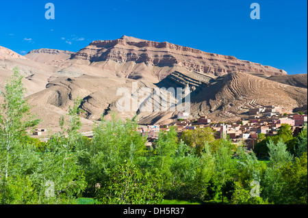 Typical mountain landscape in the Dades river valley, escarpment landscape, trees and fields by the river Stock Photo