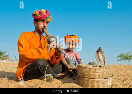 Snake charmer, Rajasthani, with colorful turban playing the flute, cobra or Naja winding from a basket in front of him Stock Photo