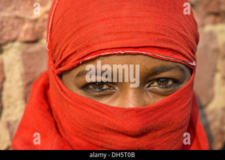 Young indian woman with a red veil, portrait, Fatehpur Sikri, Uttar Pradesh, India Stock Photo