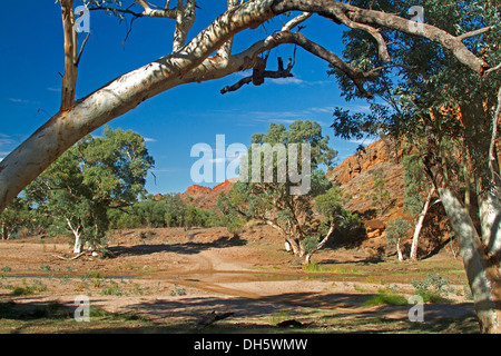 Australian outback landscape with track / road beside red rocks and ghost gums crossing shallow Ross River, Northern Territory Stock Photo