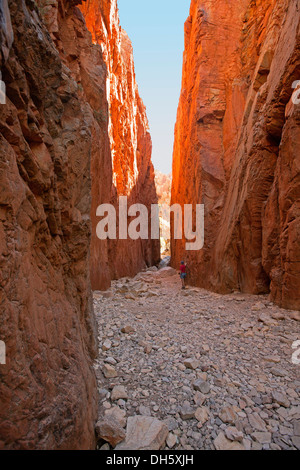 Standley Chasm, popular natural tourist attraction in West MacDonnell Ranges near Alice Springs with man dwarfed by cliffs Stock Photo