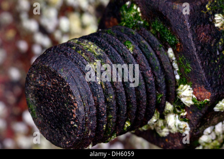 Closeup of a rusting bolt on a old pier Stock Photo
