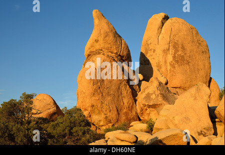 The Dwarfs, a monzogranite rock formation, Hidden Valley, Joshua Tree National Park, Mojave Desert, California, Southwest Stock Photo