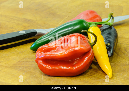 A selection of hot chili peppers (red scotch bonnet, green and black jalapeno, fresno, dutch) on a chopping board with a knife Stock Photo