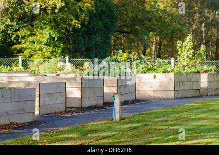 raised beds for growing vegetables in a community garden dh62h6