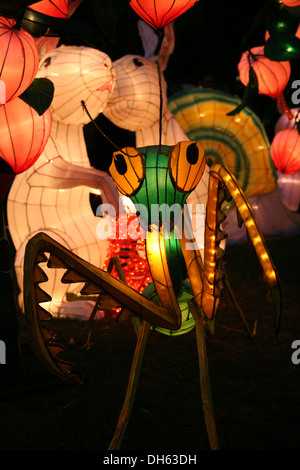 Two White Rabbits Chinese lanterns kissing with a Praying mantis in front Stock Photo