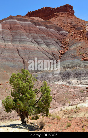 Old Paria, Pahreah Townsite, movie set, Painted Desert, Vermilion Cliffs, various rock strata of the Rimrocks, Grand Stock Photo