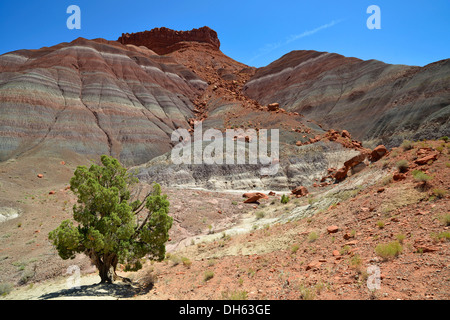 Old Paria, Pahreah Townsite, movie set, Painted Desert, Vermilion Cliffs, various rock strata of the Rimrocks, Grand Stock Photo