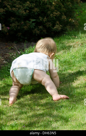 nine month old baby girl crawling on grass. England. August. Stock Photo