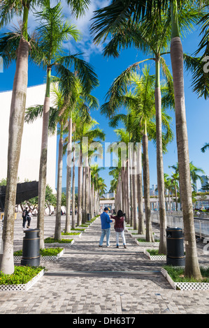 Walking along the Victoria Harbour waterfront in Hong Kong. Stock Photo