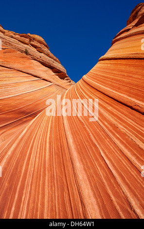 'The Wave', wave of banded eroded Navajo sandstone cliffs with Liesegang bands, Coyote Buttes North, CBN, Pahreah or Paria Stock Photo