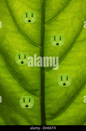 Close-up of a green plant leaf with five green colored electrical outlets added. Stock Photo