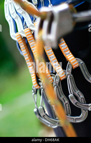 Climber with four orange express carabiner clips attached to a harness, behind the safety rope with an ATC belay device, Hamburg Stock Photo