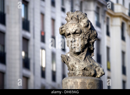 Goya bust, Goya street, Madrid, Spain, Europe Stock Photo