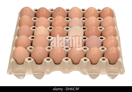 30 fresh brown eggs in pallet carton Stock Photo