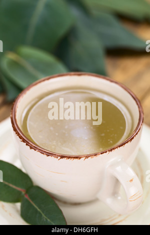 Freshly prepared hot tea made of Eucalyptus leaves in cup (Selective Focus, Focus on the front rim and the handle of the cup) Stock Photo
