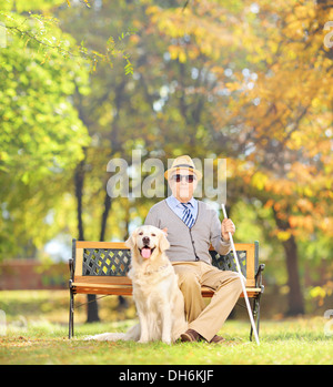 Senior blind gentleman sitting on a wooden bench with his labrador retriever dog, in a park Stock Photo