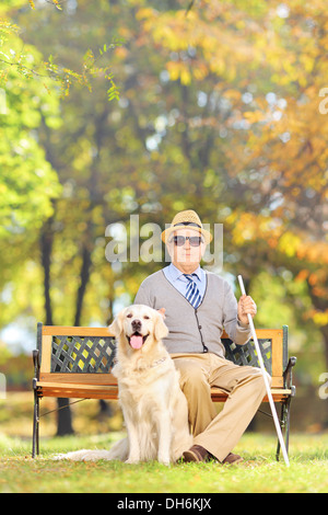 Senior blind man sitting on a bench with his labrador retriever dog, in a park Stock Photo