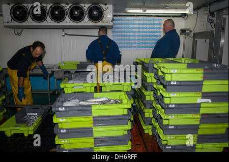 Boxes of fishes in the fish market ready to be sold Stock Photo