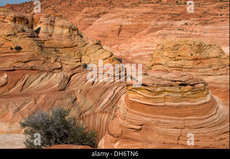 Coyote Buttes North ,American southwest Stock Photo