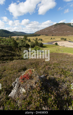 Area of Braemar, Scotland. Scenic view of the River Dee and Mar Lodge Estate. Stock Photo