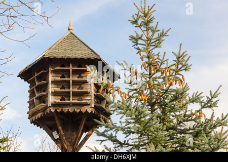 Handmade wooden nesting box and spruce with cones Stock Photo