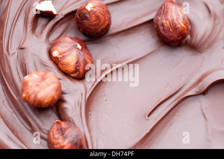 Hazelnuts in melted chocolate. Stock Photo