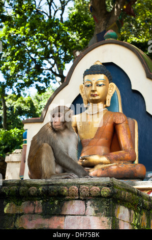 Monkey sitting near Buddha statue at Buddhist shrine Swayambhunath Stupa. Monkey Temple. Nepal, Kathmandu Stock Photo