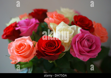 Bunch of pink red white and purple roses Stock Photo