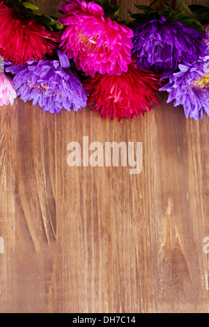 Freshly cut asters on wooden background Stock Photo
