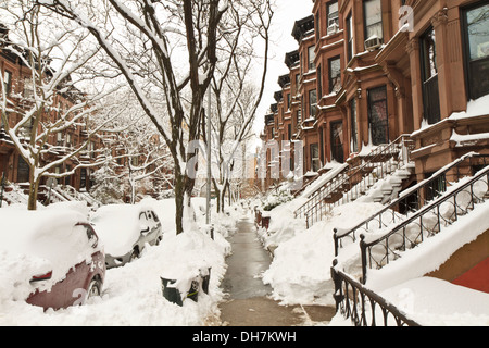 Cars and stoops buried in snow in the Park Slope neighborhood of Brooklyn, NY after January 2011 snowstorm. Stock Photo