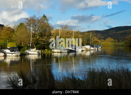 Boats moored at the Swan Hotel Marina, on the River Leven, Newby Bridge, Lake District National Park, Cumbria, England UK Stock Photo