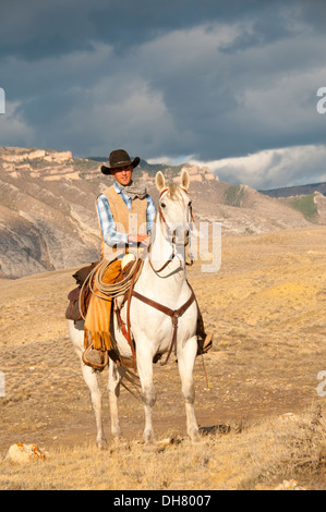 American cowboy working in Wyoming Stock Photo - Alamy