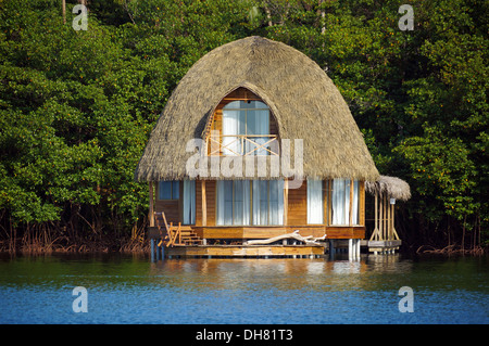 Thatched bungalow over water with lush tropical vegetation in background, Bocas del Toro, Caribbean sea, Central America, Panama Stock Photo