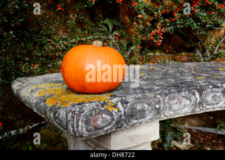 Bright orange gourd on a lichen-covered stone bench with red cotoneaster berries Stock Photo