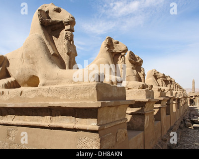 sunny illuminated scenery including lots of sphinxes in a row at the Precinct of Amun-Re in Egypt (Africa) Stock Photo