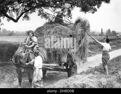 Land girls of the WW2 Womens Land army with the squire and an older ...