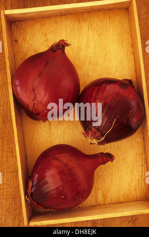 Onion, Allium cepa 'Red Baron'. Studio shot of three red onion lying in wooden tray on wood board. Stock Photo