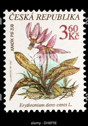 Czech Republic postage stamp: Flower Dogtooth Violet / Dog's Tooth Violet (Erythronium dens-canis) Stock Photo