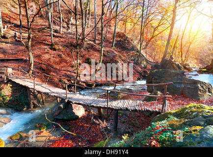 Wooden bridge in the mountain forest in autumn Stock Photo