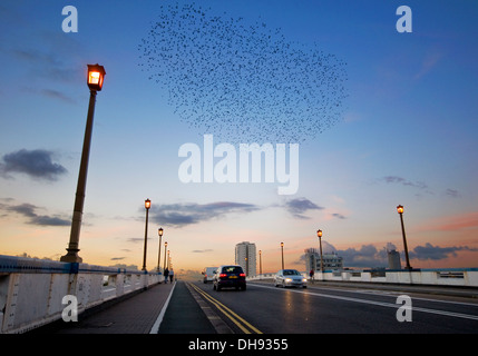 A murmuration in London over Wandsworth Bridge Stock Photo