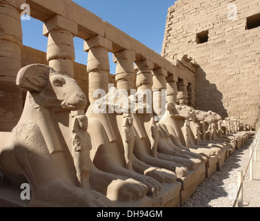 sunny illuminated scenery with lots of sphinxes at the Precinct of Amun-Re in Egypt (Africa) Stock Photo