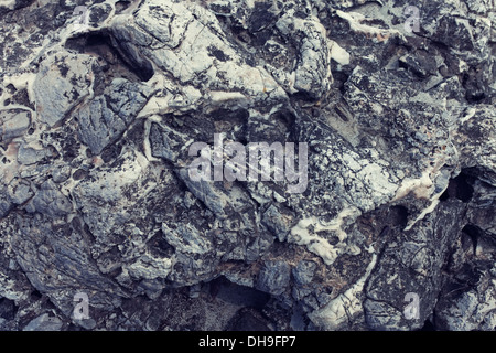 Texture of gray volcanic stone close up Stock Photo