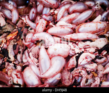 Fishing bait and chum on a commercial fishing boat Stock Photo - Alamy