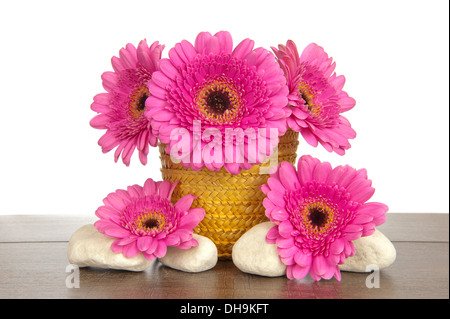 Yellow straw basket with pink Gerbera behind four white stones on a dark brown wooden shelf Stock Photo