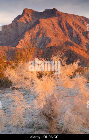 Californian desert - Anza-Borrego. Anza-Borrego Desert State Park