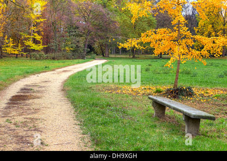 garden park bench path pathway background stock photo