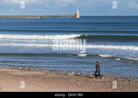 Woman walking with dogs north sea coast Blyth, Northumberland, England, UK Stock Photo