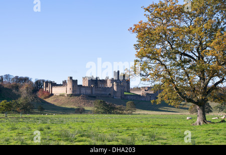 Alnwick castle, Northumberland, England, UK Stock Photo